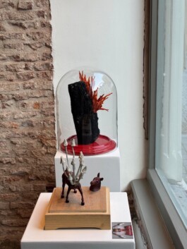 Welkom bij LangeHezel46