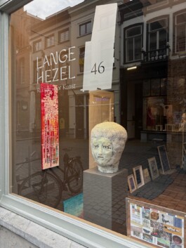 Welkom bij LangeHezel46